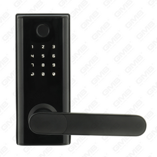 الإدخال الأمريكي القياسي المضاد للماء TUYA/TT Wireless Digital Password Phasswrint MF Card Smart Door Lock (A014)