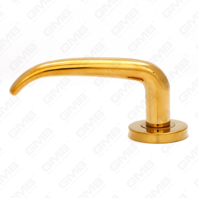 عالية الجودة BS En1906 الصف 4 SUS304 الفولاذ المقاوم للصدأ دخول جولة روز مقبض الباب الداخلي (LHT007)