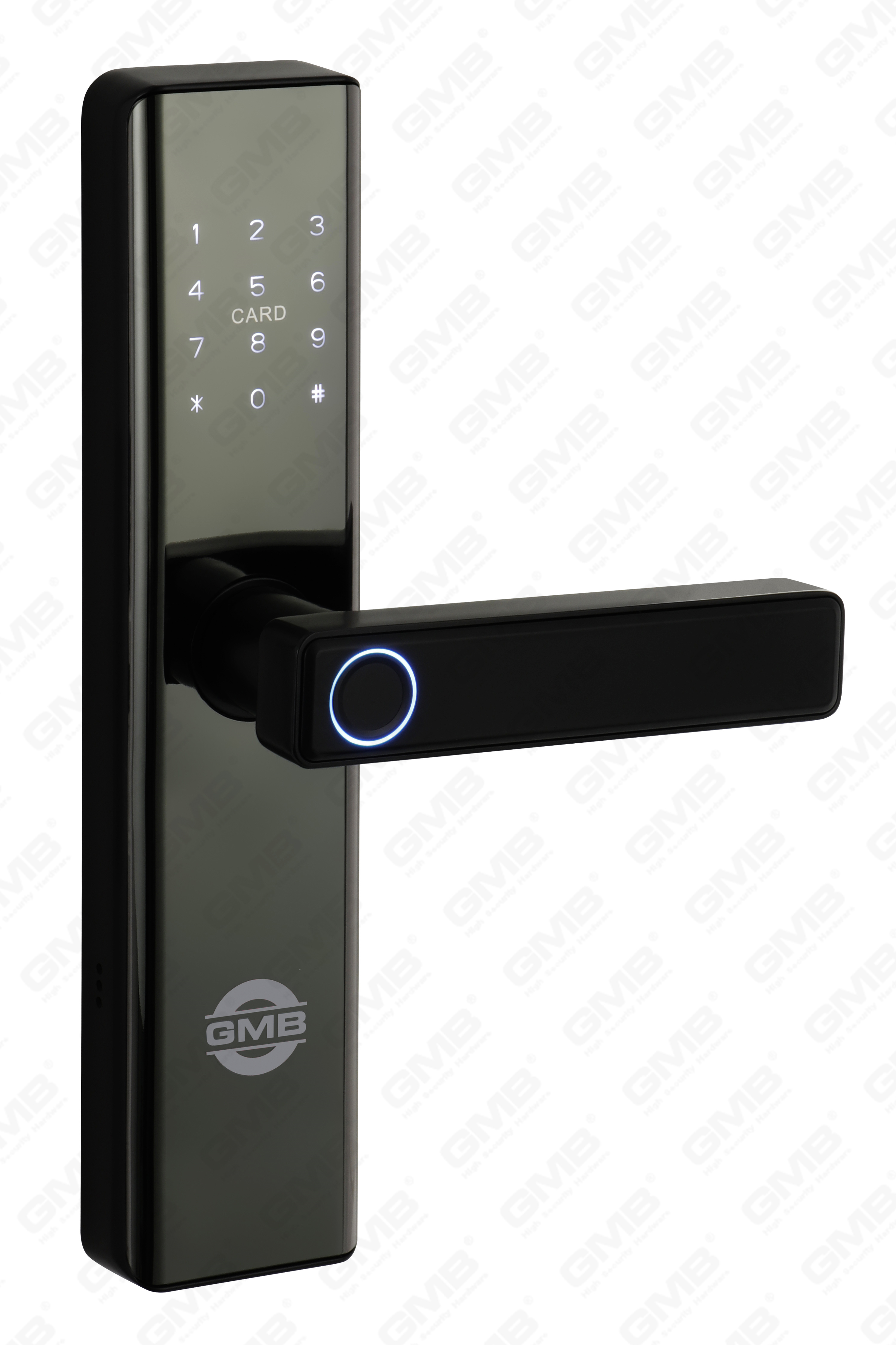 بطاقة بصمة أمان عالية/بطاقة RFID/WIFI/TUYA/TT APP DIGITAL SMART DOOR LOCK (660)