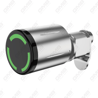طرق متعددة الأمن متعددة الأمن IP65 WIFI WIFI DIGITAL DIGITAL TELLABLE ALLINDER SMART ELICH