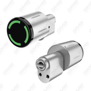 Biometric Smart NFC Card Password Lock Cylinder Cylinder Electronic (3A03)