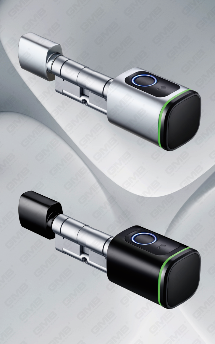 Biometric Smart NFC Password Password Lock Cylinder Cylinder Cylinder Electronic Cylinder (S1)