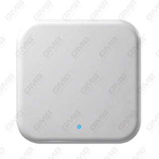 Ttlock Gateway WiFi Digital Digital Gateway للتحكم عن بُعد Smart Lock (G2)