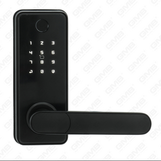 الإدخال الأمريكي القياسي المضاد للماء TUYA/TT Wireless Digital Password Phasswrint MF Card Smart Door Smart (A012)