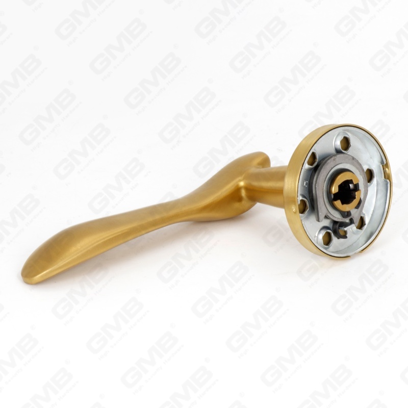 عالية الجودة BS En1906 الصف 4 SUS304 الفولاذ المقاوم للصدأ دخول جولة روز مقبض الباب الداخلي (LHT012)