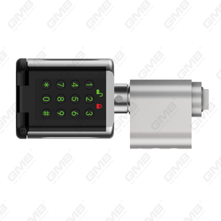طرق متعددة الأمان متعددة الأمن IP66 Photoversprint كلمة مرور WIFI الرقمية الرقمية التعديل ملف تعريف TUYA/TT APP SMART Electronic Lock Cylinder (5D03)