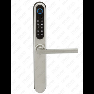 الإدخال القياسي الأوروبي المقاوم للماء TT TT Wireless Digital Password Phoildprint MF Card Smart Door Lock (U049)