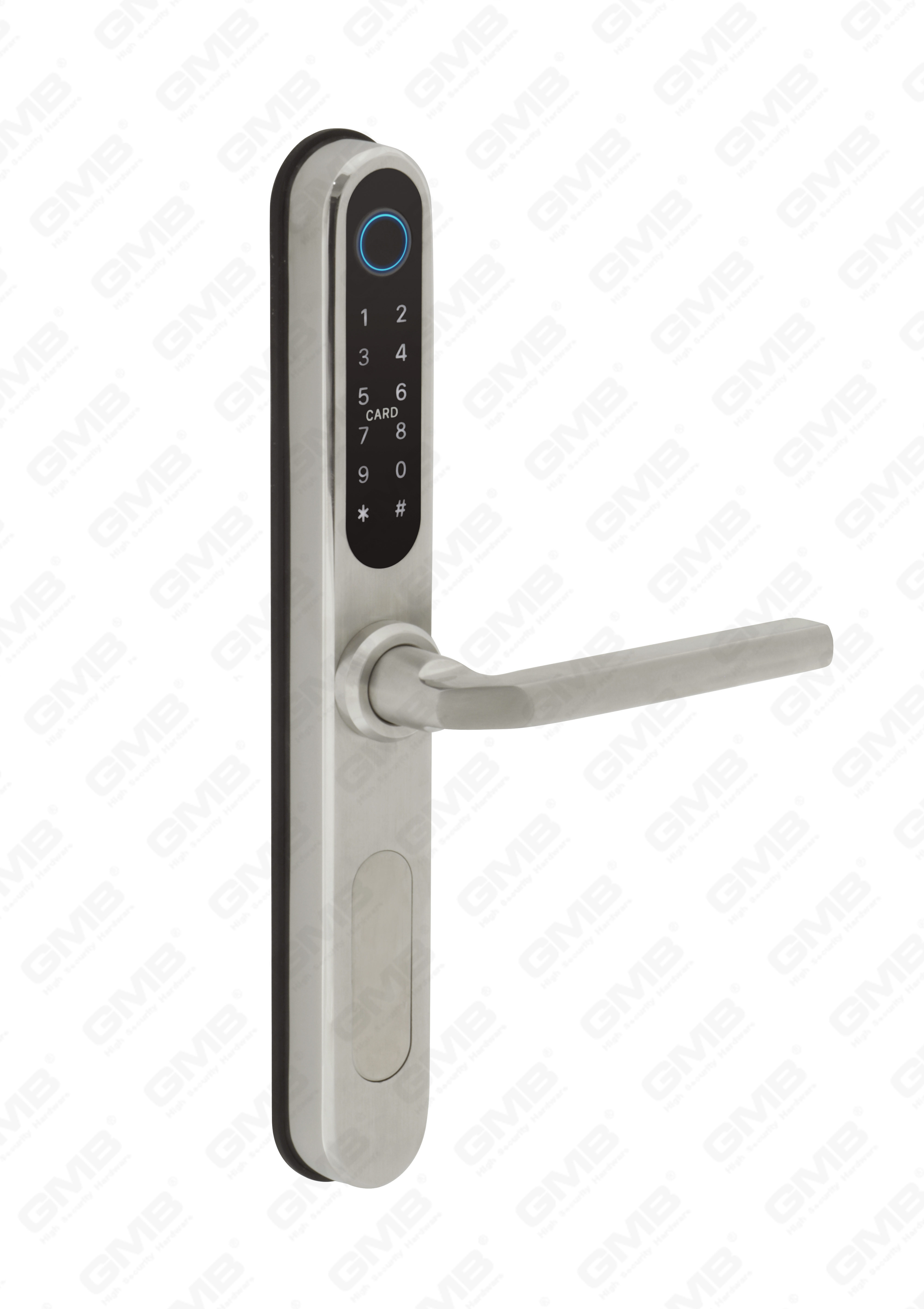 الإدخال القياسي الأوروبي المقاوم للماء TUYA/TT Wireless Digital Password Phasswrint MF Card NFC Smart Door Lock (U052)