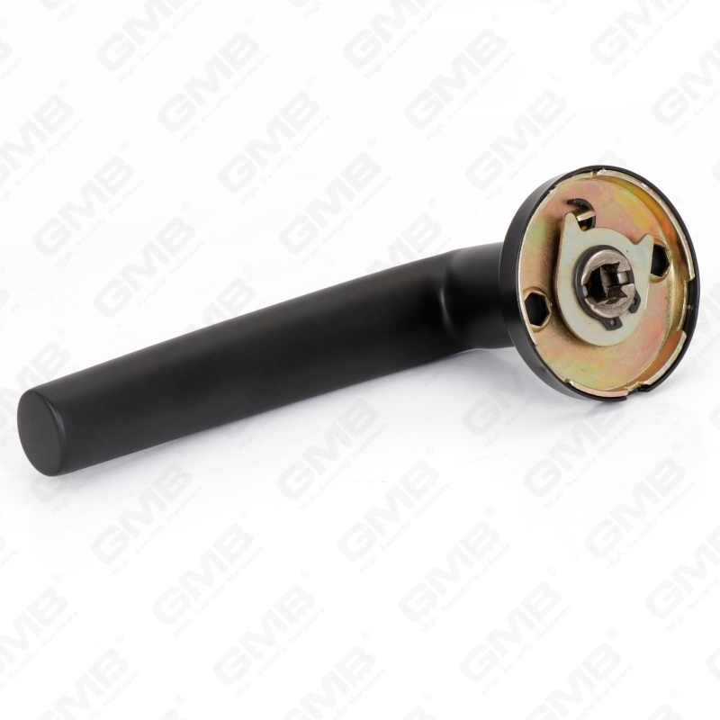 عالية الجودة BS En1906 الصف 4 SUS304 الفولاذ المقاوم للصدأ دخول جولة روز مقبض الباب الداخلي (LHT015)