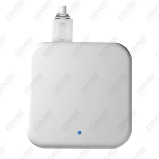G3P wifi ble poe ttlock Gateway for Smart Lock وأجهزة Ttlock الأخرى (G3P)