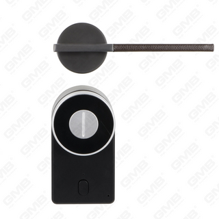 European Univers TT App Password Password Remote Wireless Digital Smart Door Lock (U009)