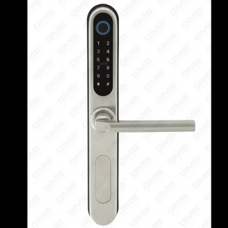 الإدخال القياسي الأوروبي المقاوم للماء TUYA/TT Wireless Digital Password Phasswrint MF Card NFC Smart Door Lock (U052)