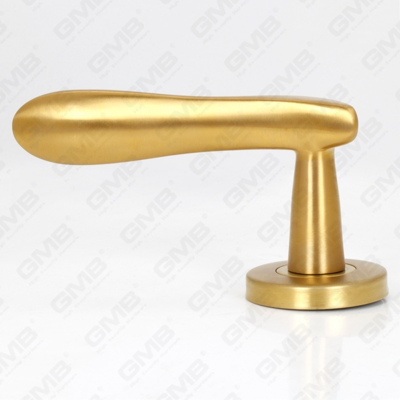 عالية الجودة BS En1906 الصف 4 SUS304 الفولاذ المقاوم للصدأ دخول جولة روز مقبض الباب الداخلي (LHT012)