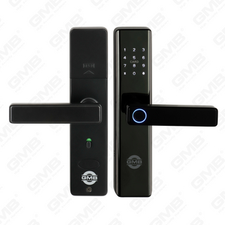 بطاقة بصمة أمان عالية/بطاقة RFID/WIFI/TUYA/TT APP DIGITAL SMART DOOR LOCK (660)