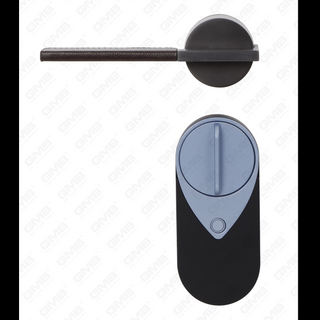 European Upelless Tuya App Password Password Parseprint Remote Wireless Digital Smart Door Lock (U012)