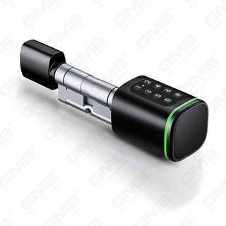 Biometric Smart NFC Card Password Lock Cylinder Cylinder Cylinder Electronic Cylinder (S1 KK)