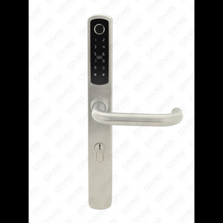 الإدخال القياسي الأوروبي المقاوم للماء TT TT Wireless Digital Password Phoilderrint MF Card Smart Door Lock (U018)