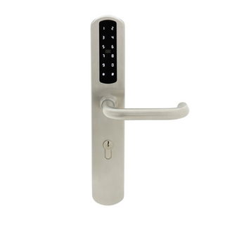 الإدخال القياسي الأوروبي المقاوم للماء TT TT Wireless Digital Password MF Card Smart Door Lock (U020)