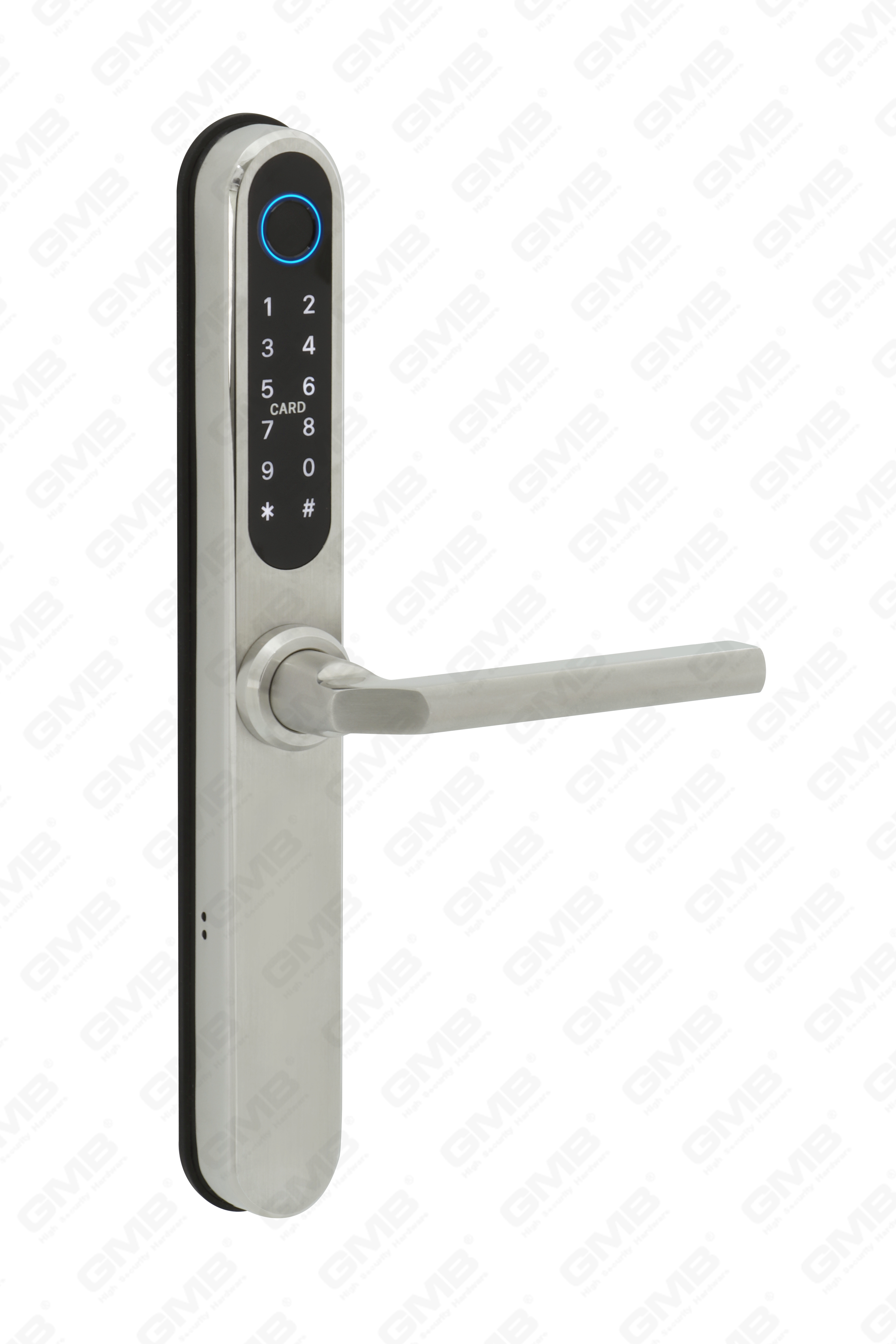 الإدخال القياسي الأوروبي المقاوم للماء TT TT Wireless Digital Password Phoildprint MF Card Smart Door Lock (U049)