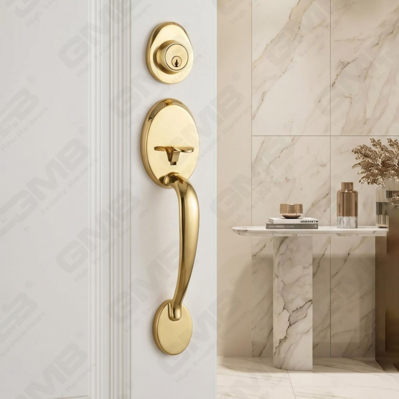 تصميم جديد مقبض باب الدخول مجموعة قفل عتلات باب الدخول (70710)
